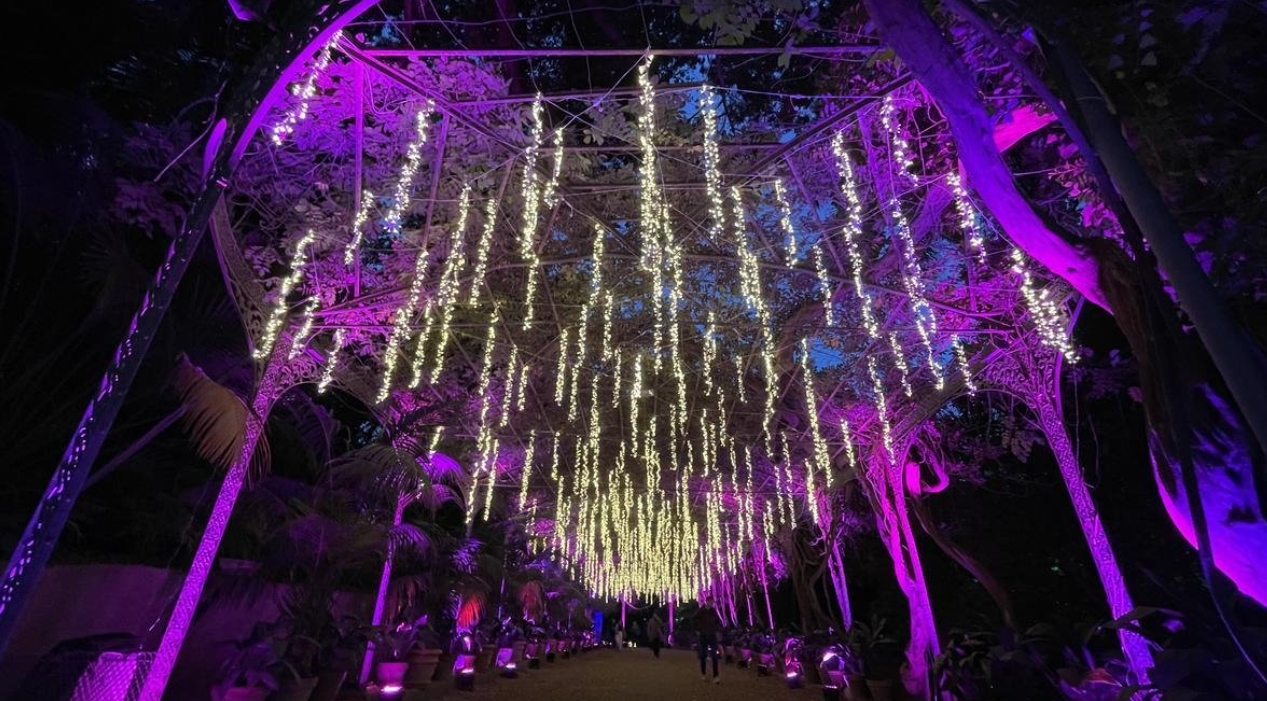 Las Luces del Botánico de Málaga acogen este año un evento navideño especial 1